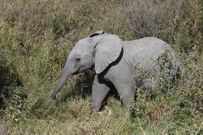 DSC_3857 (Large).JPG